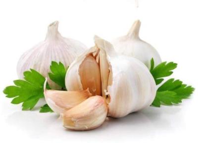 با خواص سیر خام آشنا شوید با خواص سیر خام آشنا شوید