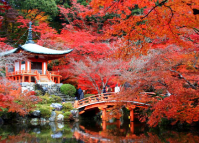 فستیوال مومیجی گاری Momijigari فستیوال مومیجی گاری Momijigari